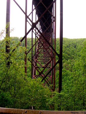 [Image taken in portrait view from below the bridge surface partially down the hillside looking straight at the steel cross members in an x shape with some curved steel of the top of the arch visible. The trees are fully leafed and provide a green carpet around the bridge.]